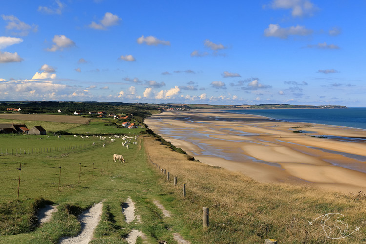 Sentier côtier vers le Cap Gris-Nez